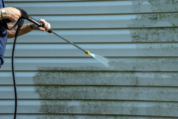 Reliable Palmview South, TX Pressure Washing Services Solutions