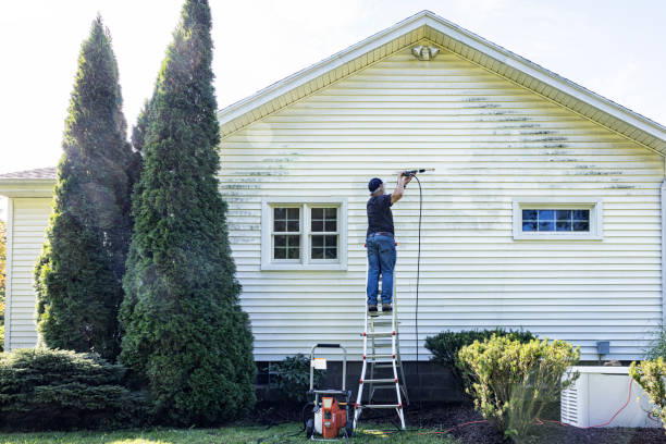 Best Patio and Deck Pressure Washing  in Palmview South, TX